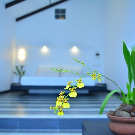 Midigama Holiday Inn 외부 사진